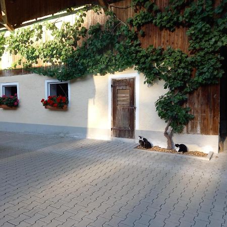 Landhof Ella - Ferienhaus Vor Den Toren Salzburgs Petting Esterno foto