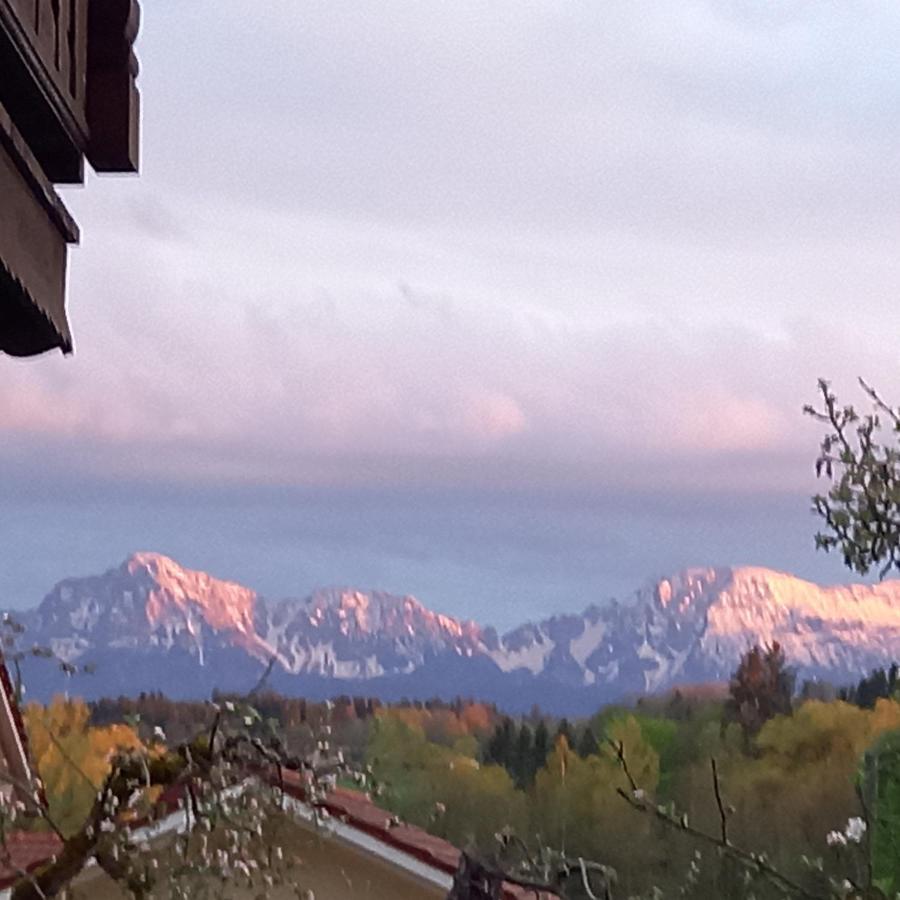 Landhof Ella - Ferienhaus Vor Den Toren Salzburgs Petting Esterno foto