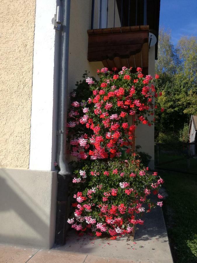 Landhof Ella - Ferienhaus Vor Den Toren Salzburgs Petting Esterno foto