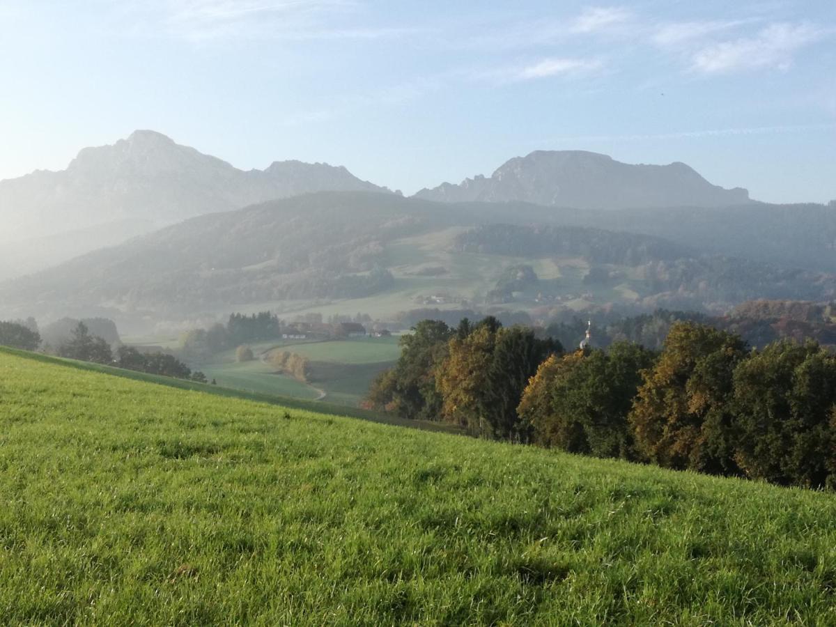 Landhof Ella - Ferienhaus Vor Den Toren Salzburgs Petting Esterno foto